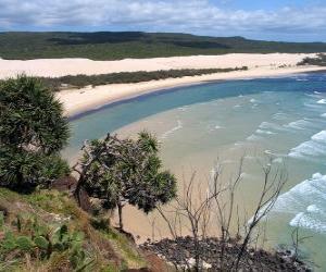 Puzzle Fraser Island, το νησί είναι αμμώδης 122 χιλιόμετρα μακριά και είναι η μεγαλύτερη στον κόσμο στο είδος του. Αυστραλία.